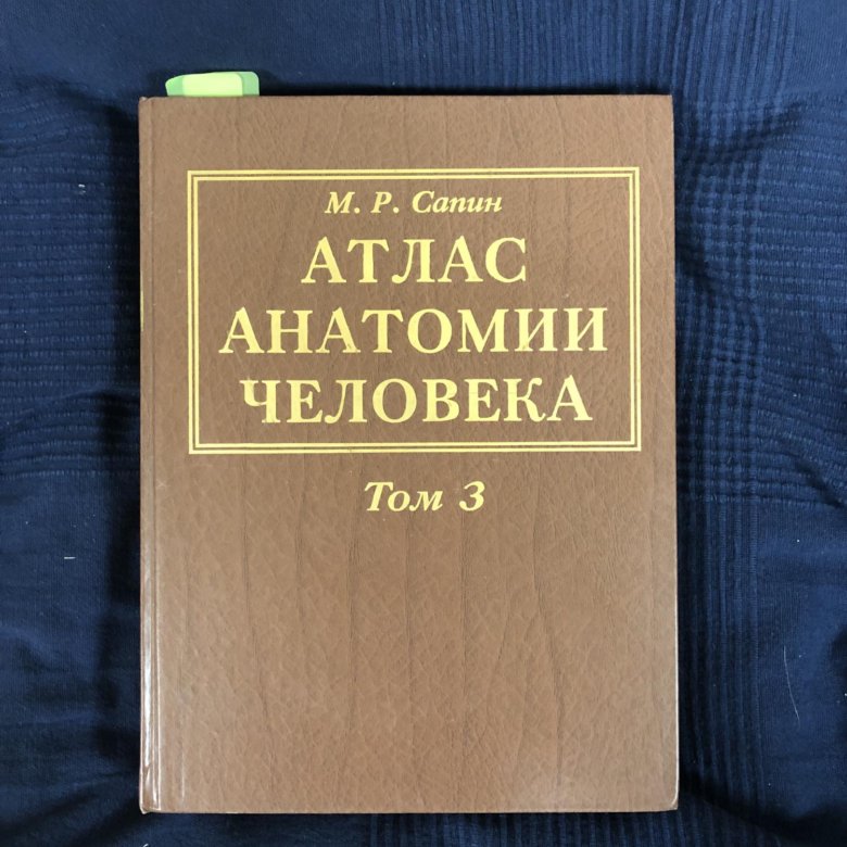 Атлас анатомии 3 тома. Атлас анатомии человека Сапин 1 том. Анатомия атлас Сапин. Атлас по анатомии человека Сапин. Сапин атлас анатомия человека том 2.