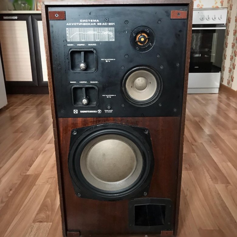 Радиотехника киров. 35 ас-1 radiotehnika. радиотехника 35ас-201. акустическая система 35 ас-1. 35ас- 201 radiotehnika.