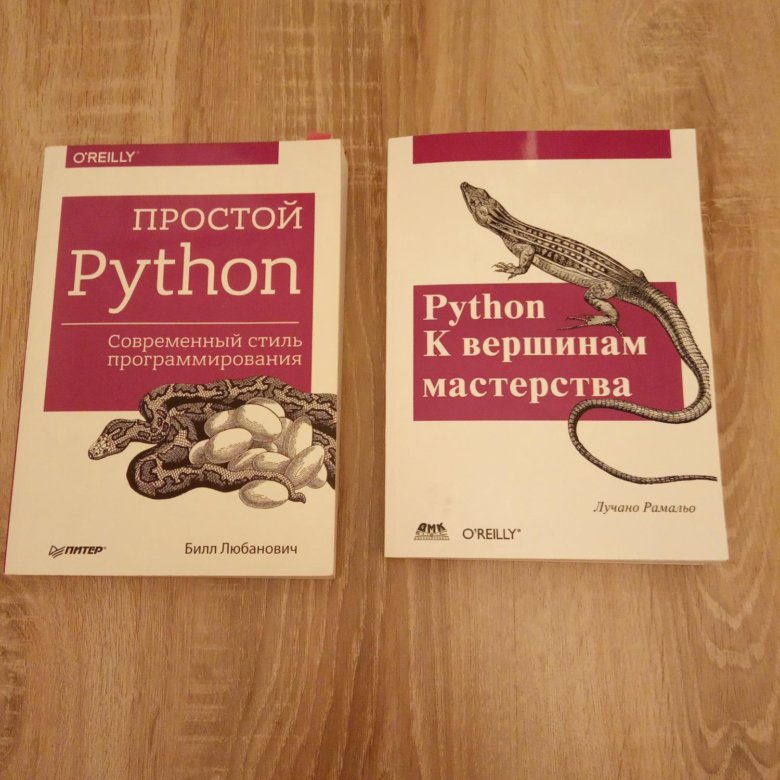 Большая книга проектов python