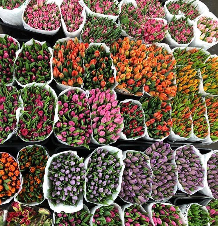 Купить цветы в Щербинке. Купить тюльпаны в подольске