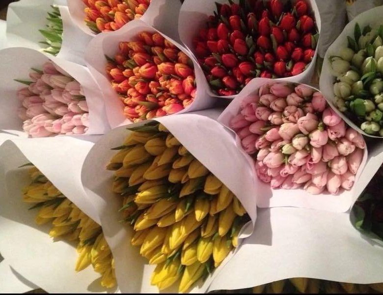 Тюльпаны оптом владивосток. Тюльпаны оптом в Красноярске купить.