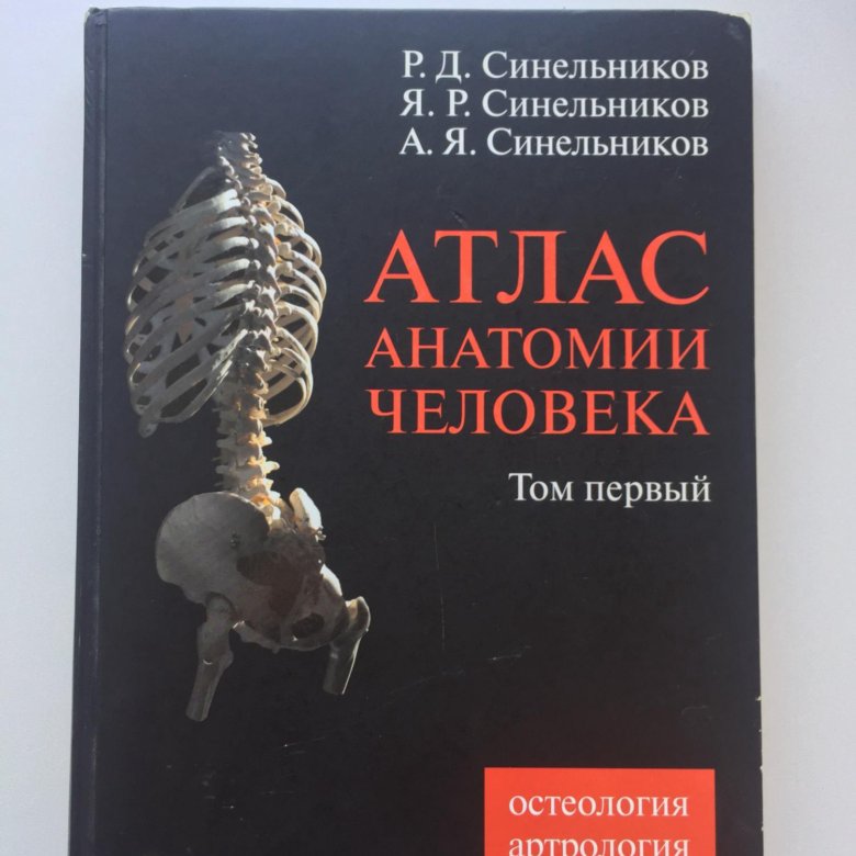 Синельников атлас 1996. Атлас анатомии Синельников. Синельников р.д. - атлас анатомии человека (1 том) - 2009. Синельников атлас анатомии человека 3 том.