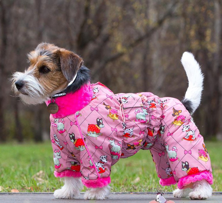 Комбез для собак. Комбинезон FORMYDOGS розовый. Комбез для собаки. Одежда для собак девочек. Одежда для собак мелких пород.