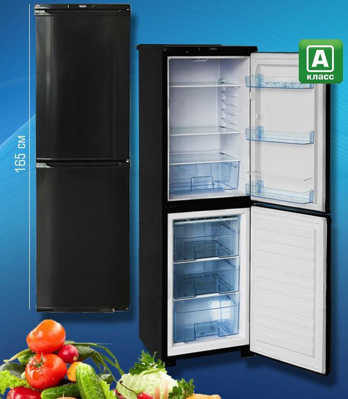 Хол бирюса. Холодильник Бирюса m120. Холодильник Бирюса m120 Silver. Холодильник Бирюса 120. Холодильник "Бирюса-120м".