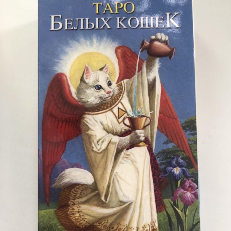 Таро белых кошек звезда. Карты таро белых кошек. Карты таро белых кошек. Таро белых кошек в хорошем качестве. Карты таро белых кошек.