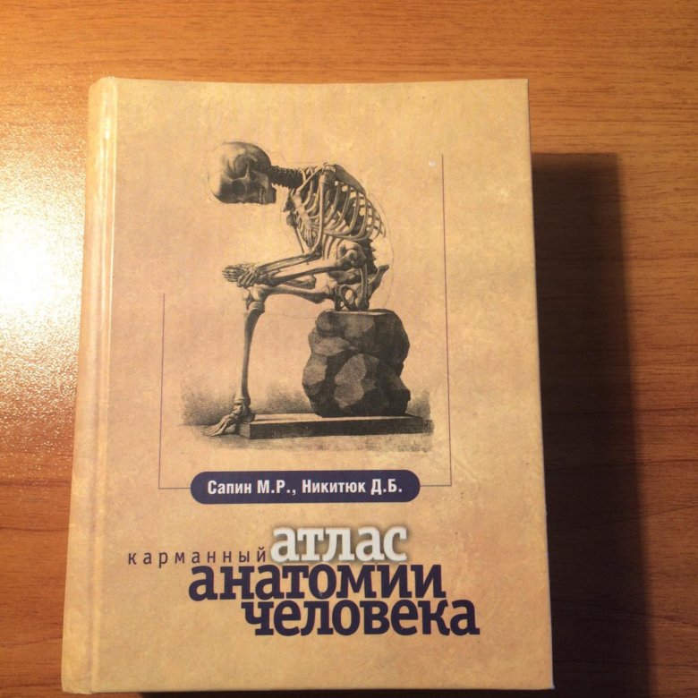 Карманный атлас Сапин. Карманный атлас анатомии человека. Карманный атлас анатомии человека Сапин. Карманный атлас анатомии человека Сапин Никитюк.