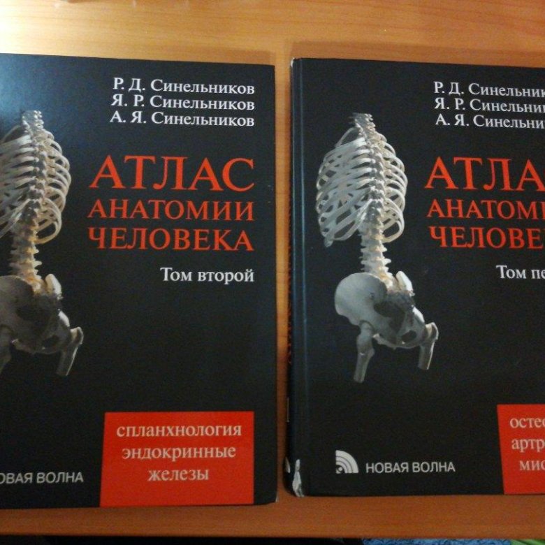 Атлас анатомии синельников 4 том. Синельников атлас анатомии 1 том. Атлас анатомии человека Синельников том 4. Синельников р.д. - атлас анатомии человека (1 том) - 2009. Атлас анатомии Синельников 2 том.