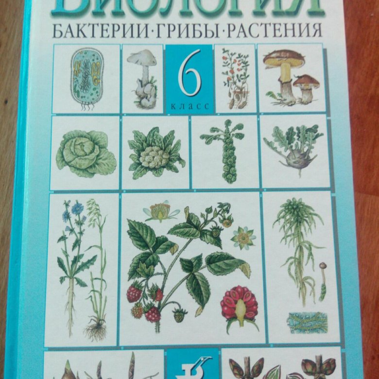 Учебник по биологии пасечник. Биология 6 класс. Бактерии, грибы, растения. Пасечник. Биология 6 класс учебник Пасечник. Биология 6 класс биология Пасечник. Биология. 6 Класс. Учебник.