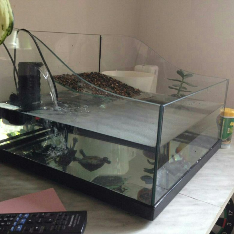 Авито аквариум для черепахи