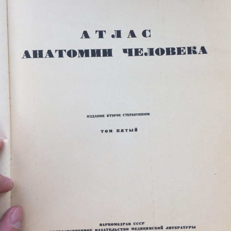 Атлас анатомии воробьева. Атлас анатомии воробьева