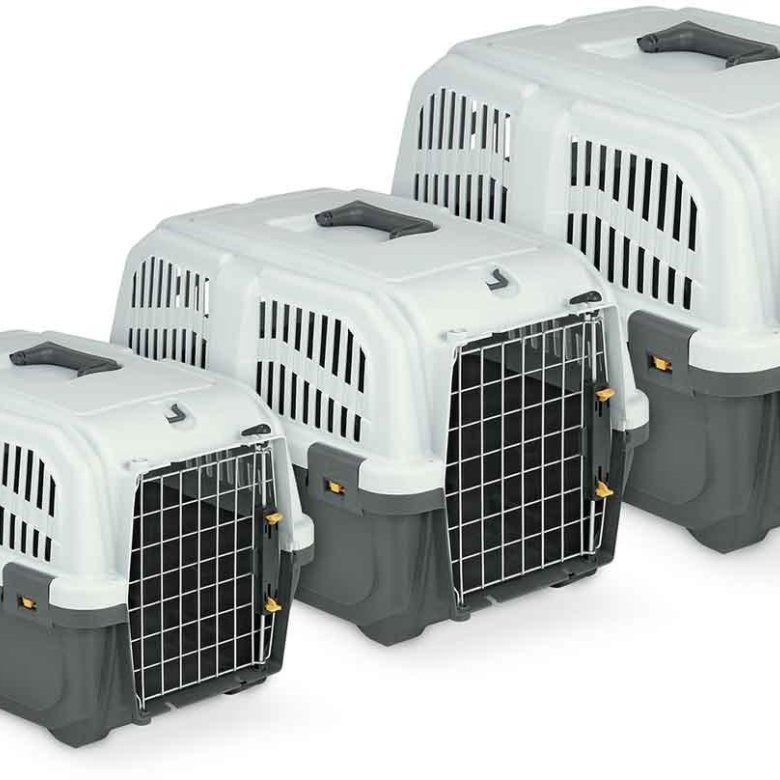 Mps skudo 5. Mps skudo акция. Skudo 3 переноска. Переноска skudo 1. Переноска mps skudo 1 с металлической дверцей с замком.