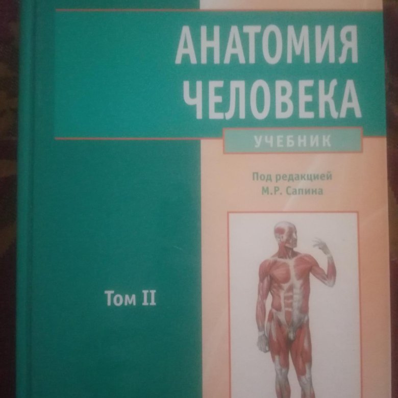 Сапин анатомия 2020. Анатомия человека Сапин 1,2 том. Анатомия человека 2 том Сапин Билич. Сапин анатомия. Анатомия человека Сапин 1.