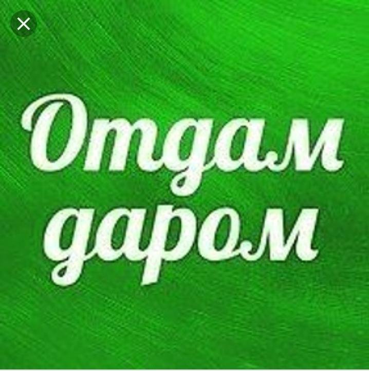 Даром лучший выбор. Даром лучший выбор. Отдам даром логотип. Даром лучший выбор. Отдам даром обложка.