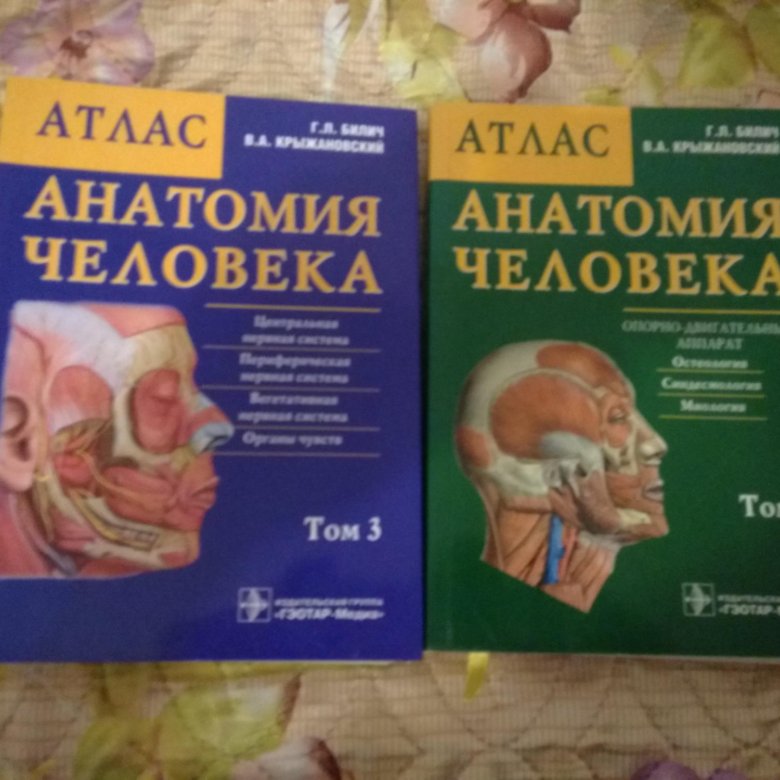 Билич крыжановский анатомия. Билич Крыжановский анатомия 1 том. Анатомия человека атлас том 1 Крыжановский. Атлас Билич Крыжановский. Крыжановский анатомия человека атлас 3 том.