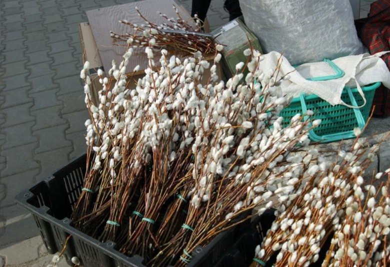 Букет из вербы. Красивый букетик вербы. Верба веточки вербы. Верба фото весной. С вербным воскресеньем.