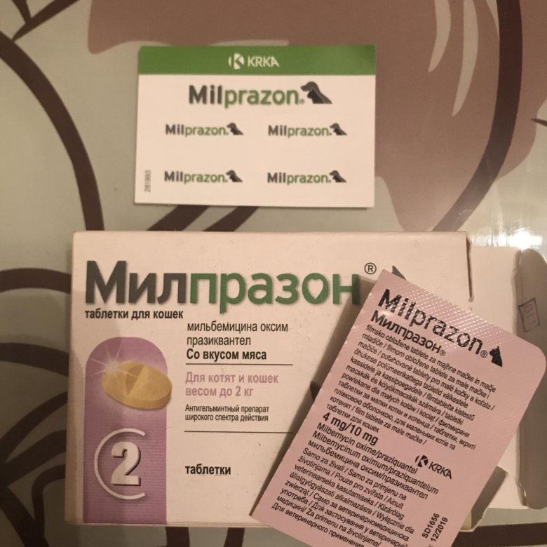 Милпразон инструкция для кошек