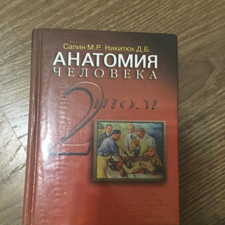 Учебник по анатомии сапин