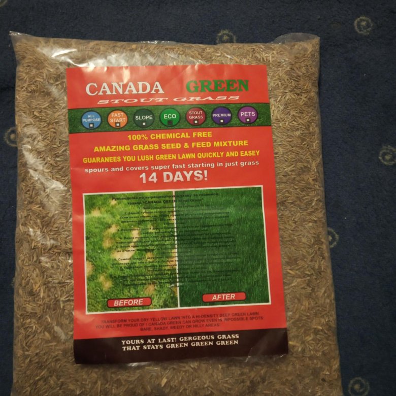Канада грин газонная трава. Канада Грин эко газонная трава. Трава газонная канадский Грин семена. Газонная трава Canada Green "Premium" - семена. Семена травы Канада Грин.