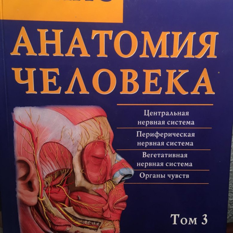 Атлас анатомии человека билич г л. Билич Крыжановский анатомия 1 том. Атлас Билич Крыжановский. Атлас анатомии Билич Крыжановский. Анатомия человека медицинский атлас Билич Крыжановский.