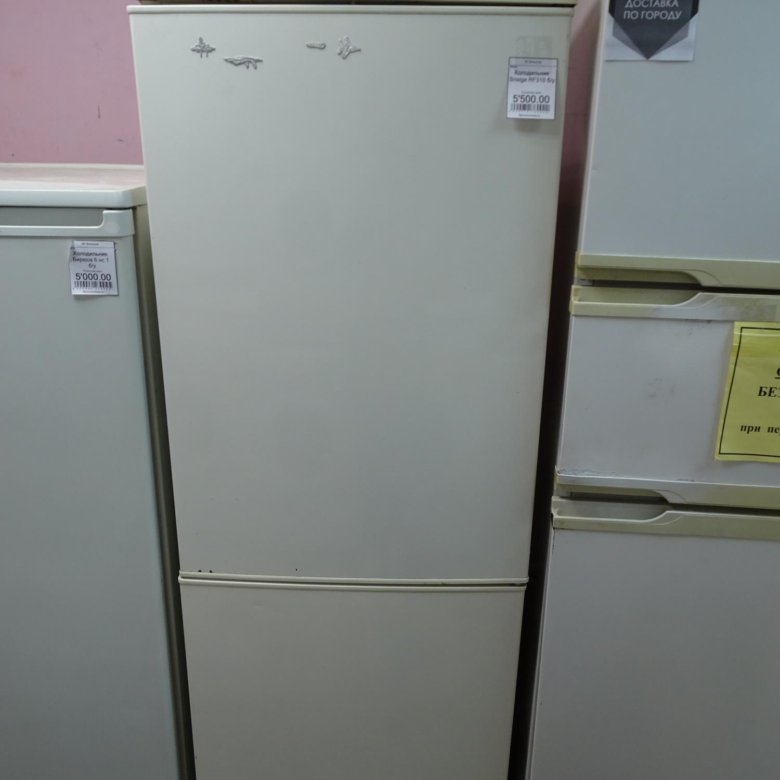 Куплю холодильники б у новосибирск. RF 310 холодильник Снайге. Шильдик холодильник Snaige rf310. Холодильник alpari RF 310. Холодильник 85 см.