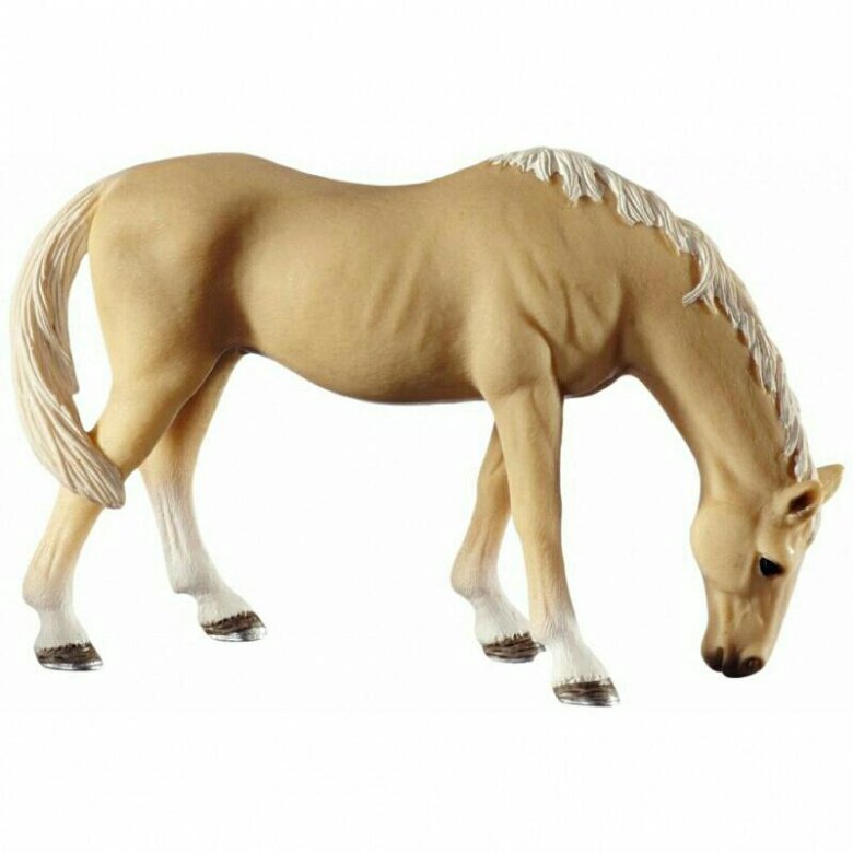 Schleich best sale akhal teke