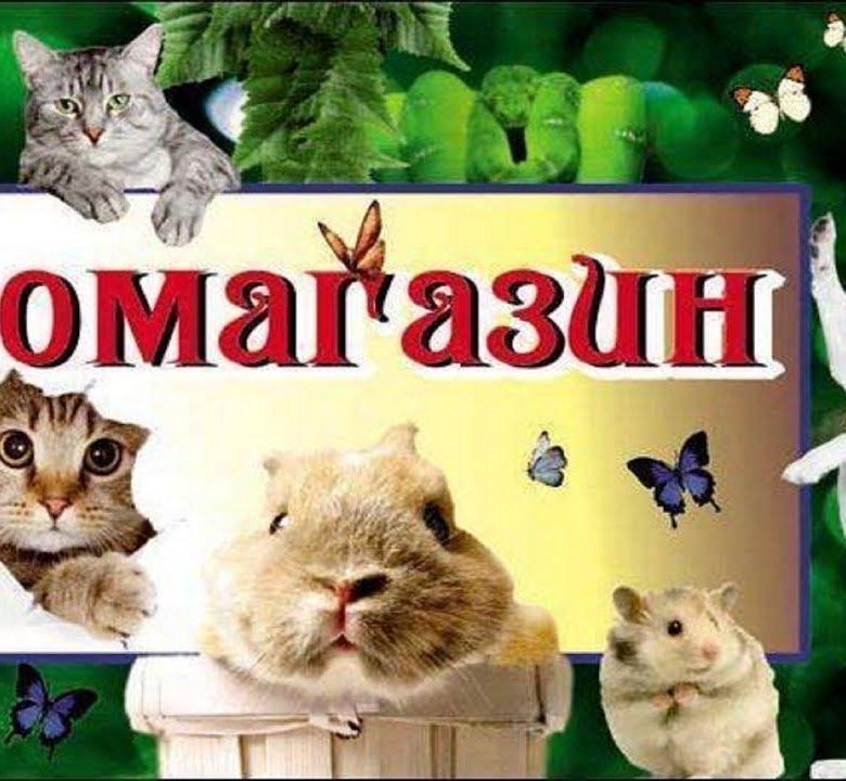 Картинки с надписью зоомагазин, надписями наступающим