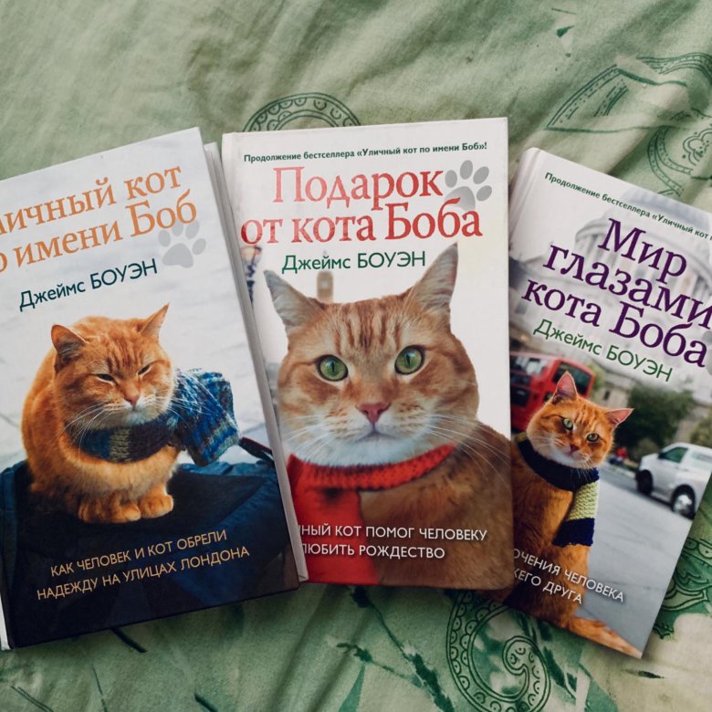 A christmas gift from bob. Кот по имени Боб книга. Книги про котов. Кот с книгой. Кот с книжкой.
