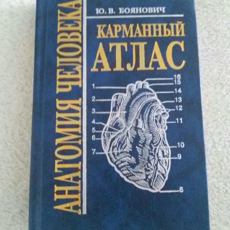 Фениш карманный атлас человека. Карманный атлас анатомии человека Сапин. Карманный атлас анатомии человека Ханц Фениш. Карманный атлас анатомии человека книга.