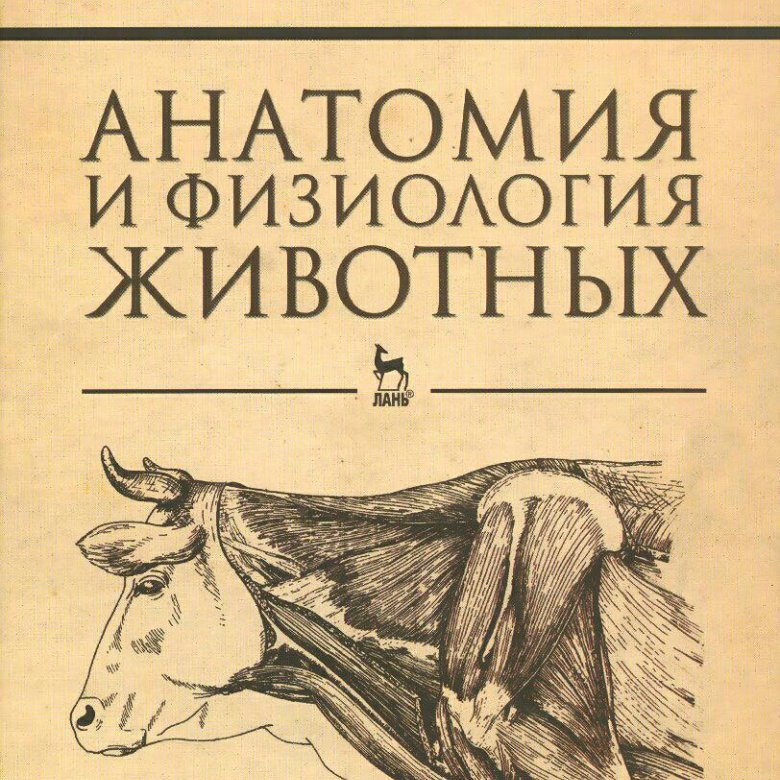 Учебник животные. Зеленевский анатомия и физиология животных. Анатомия Ветеринария учебник. Анатомия и физиология животных Зеленевский корова. Зеленевский анатомия собаки.