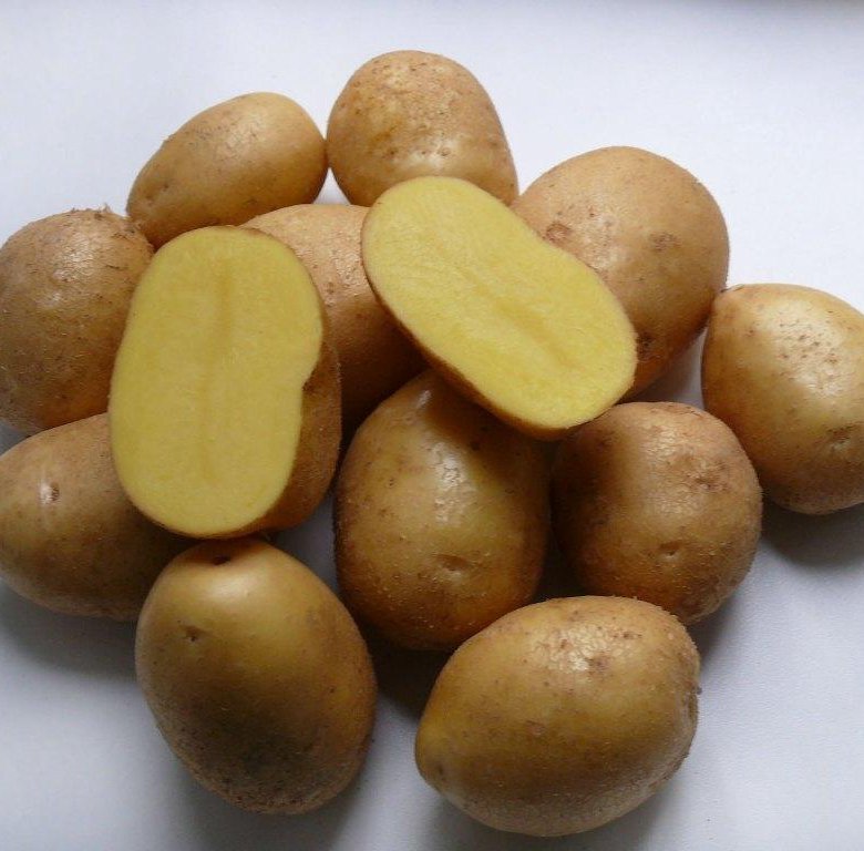 Сорт картофеля коломбо срок созревания. Семенной картофель Коломбо 2 кг. АГРОАПТЕКА картошка сим куртга дори.