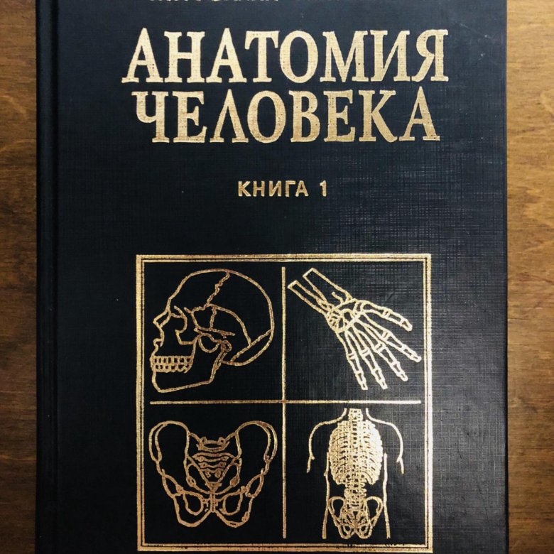 Сапин анатомия человека. Анатомия человека 2 том Сапин Билич. М.Р.Сапин г.л.Билич анатомия человека 5 издание книга 1. Книга по анатомии Билич Сапин. Анатомия человека Сапин Билич 1 том.