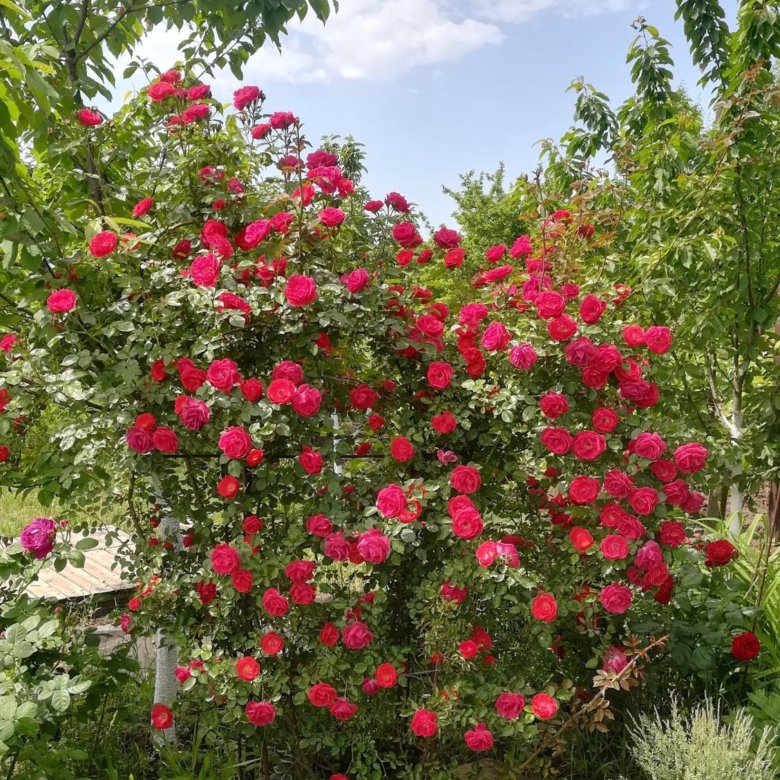 Металлические дома в Северской цена