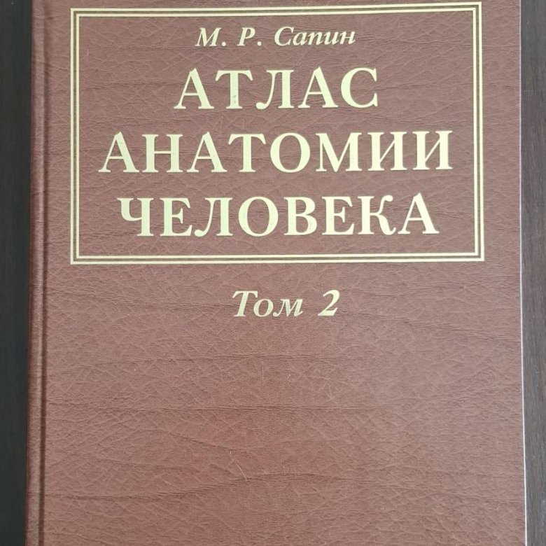 Атлас анатомия человека том 2