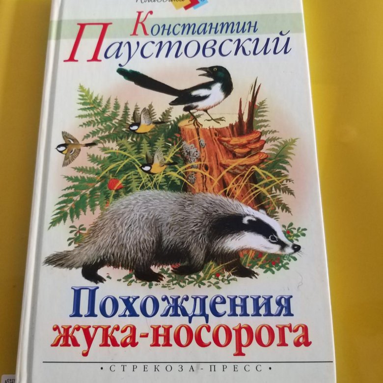 Паустовский похождения жука носорога читать с картинками