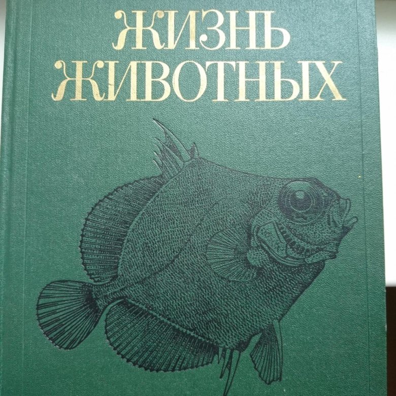 1983 животного