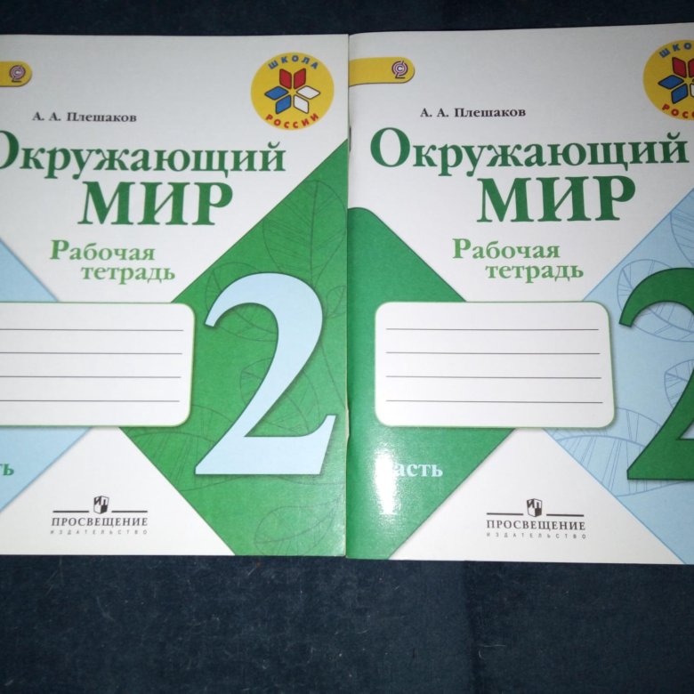 Рабочие Тетради Через Интернет Магазин