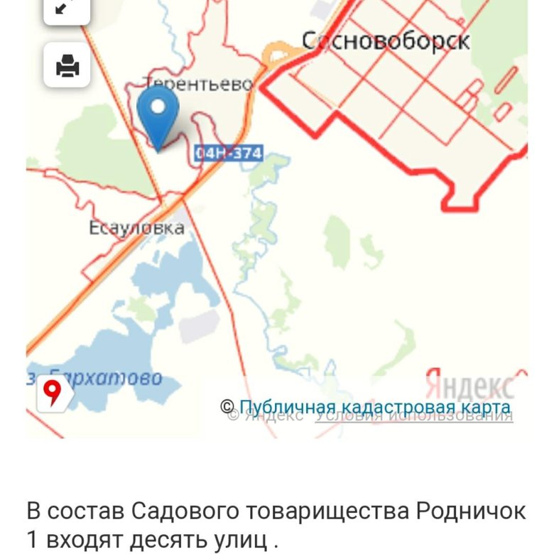 Публичная карта сосновоборск