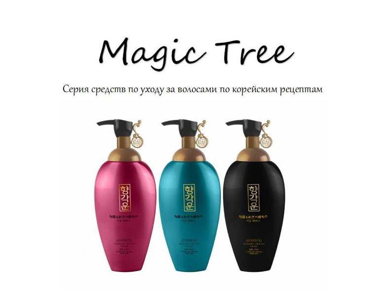 Шампунь magic. Magic ,Tree шампунь корейский. Корейский шампунь и бальзам. Шампунь Magic Tree с марокканским маслом. Корейский шампунь для волос в 7.