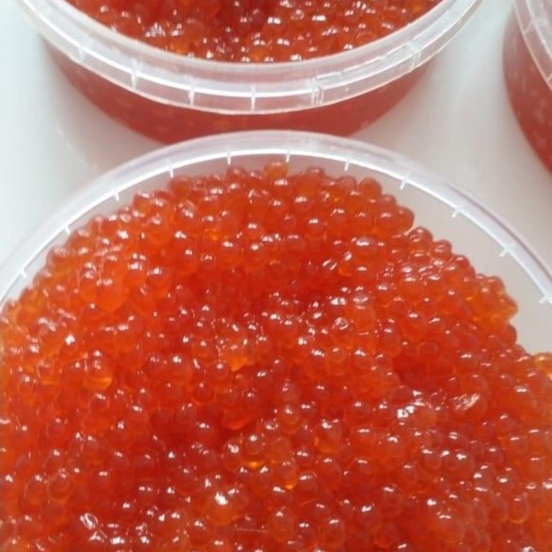 Икра кижуча и кеты разница. Икра красная кижуч. Икра лососевая кижуч. Икра Caviar Premium кижуч. Красная икра чавыча кижуч.