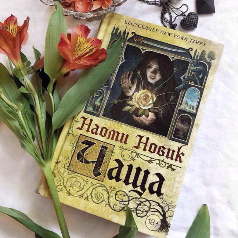 Чаща книга. Чаща наоми новик книга. в чаще книга. чаща наоми новик эстетика. чащп.