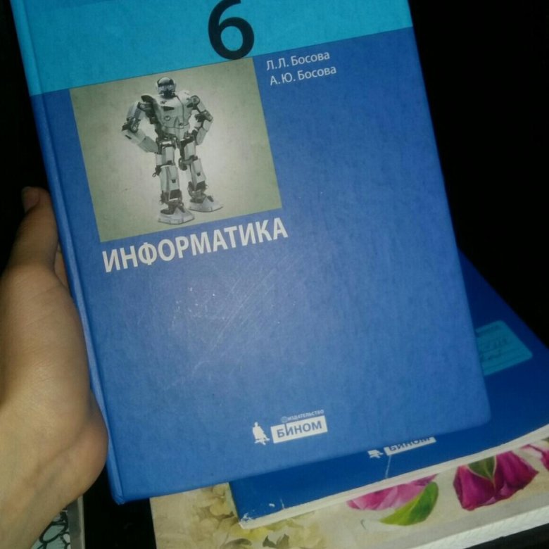 Информатика 10 класс босова. Информатика 11 класс босова. Информатика 11 класс босова учебник. Учебник информатики 11 класс босова. Практикум Информатика босова.