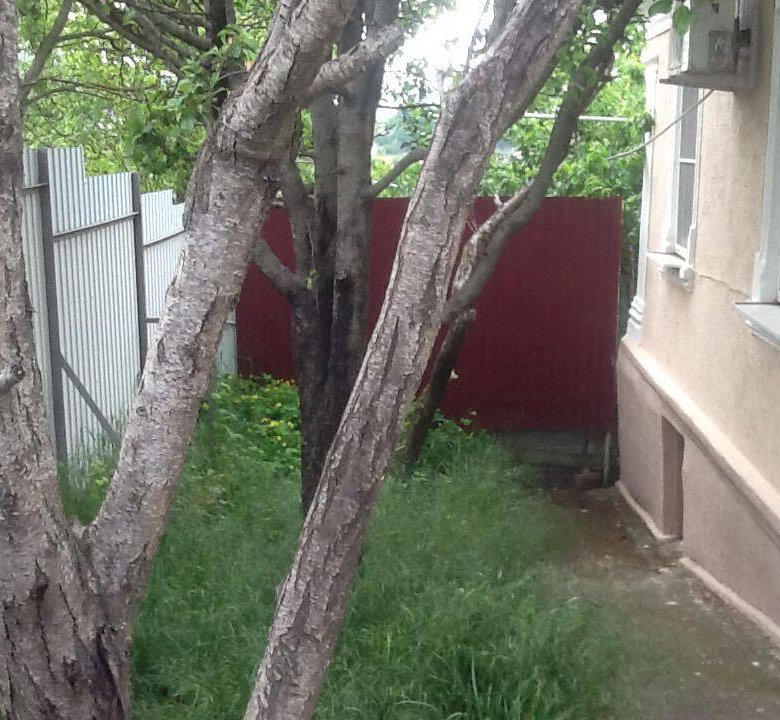 Новороссийске сборный дом низкая цена