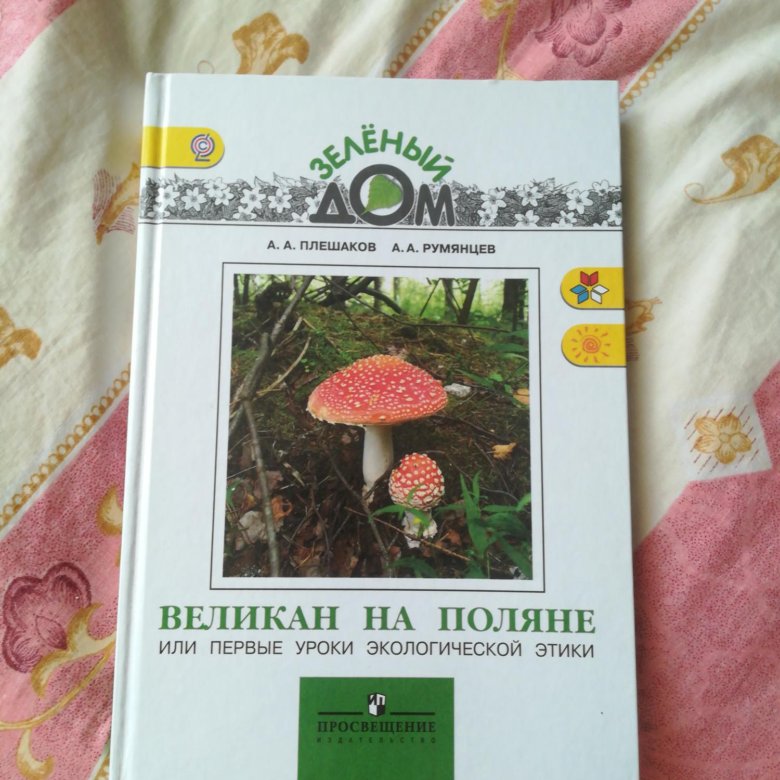 Книга великан. Плешаков, Андрей Анатольевич. Великан на Поляне. Плешаков Румянцев великан на Поляне. Атлас определитель великан на Поляне. Зеленый великан Плешаков.