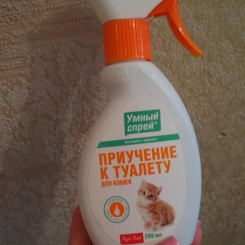 Приучение к туалету