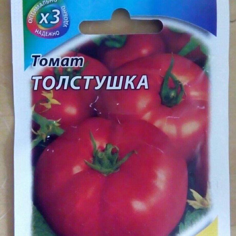 Толстой семена томат