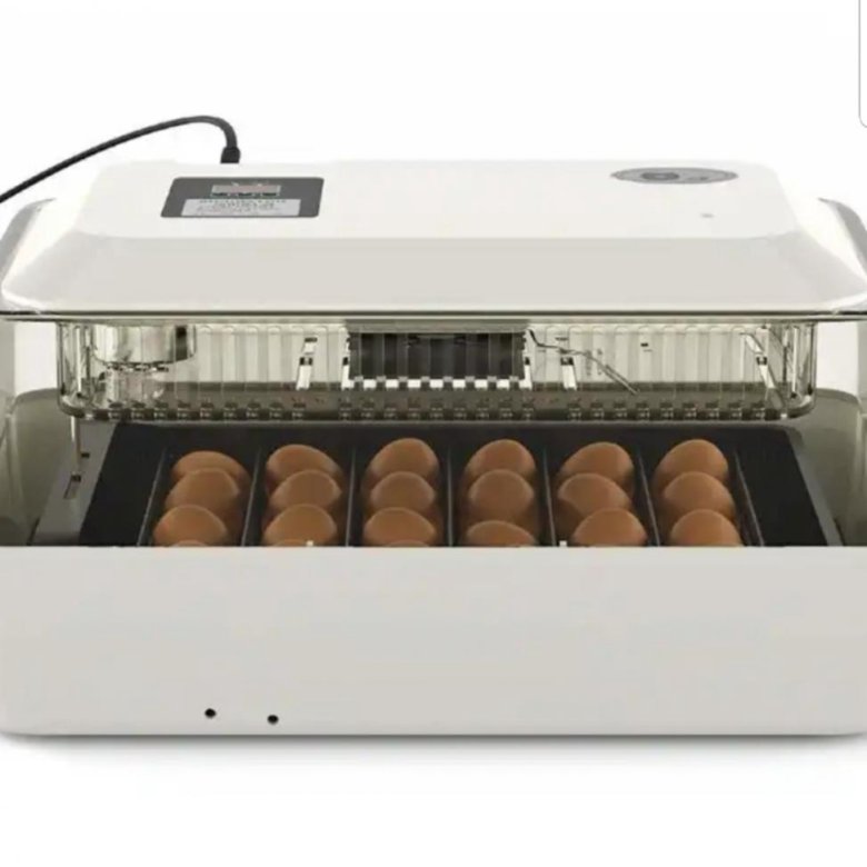 Egg incubator 24 инкубатор mini. Инкубатор для яиц sititek 40. Инкубатор для яиц egg incubator. Инкубаторы автоматические на 24. Инкубаторы автоматические на 24.