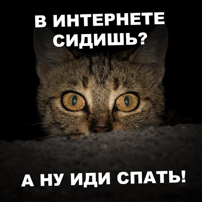 Первоцветы, открытки хватит сидеть в интернете пора спать