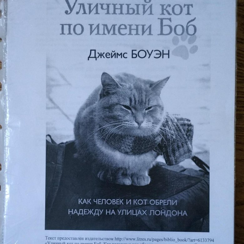 Книга уличный кот. Уличный кот по имени Боб книга. Стих уличный кот. Книга тайна уличного кота. Книге уличный кот по имени Боб главы.