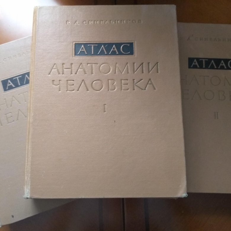 Атлас анатомии 3 тома. Атлас анатомии человека Синельников купить 4 Тома.