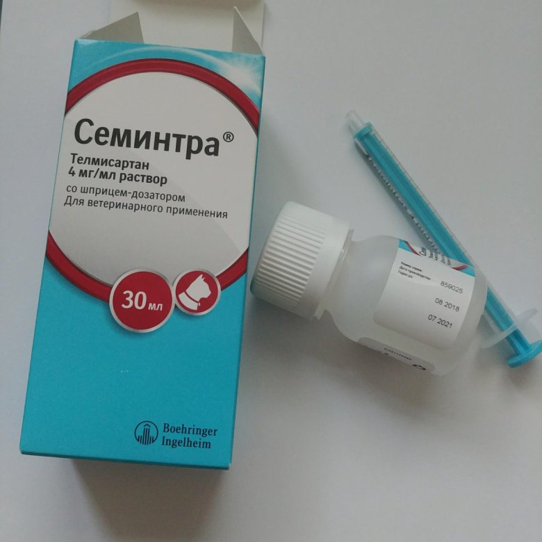 Семинтра купить для кошек